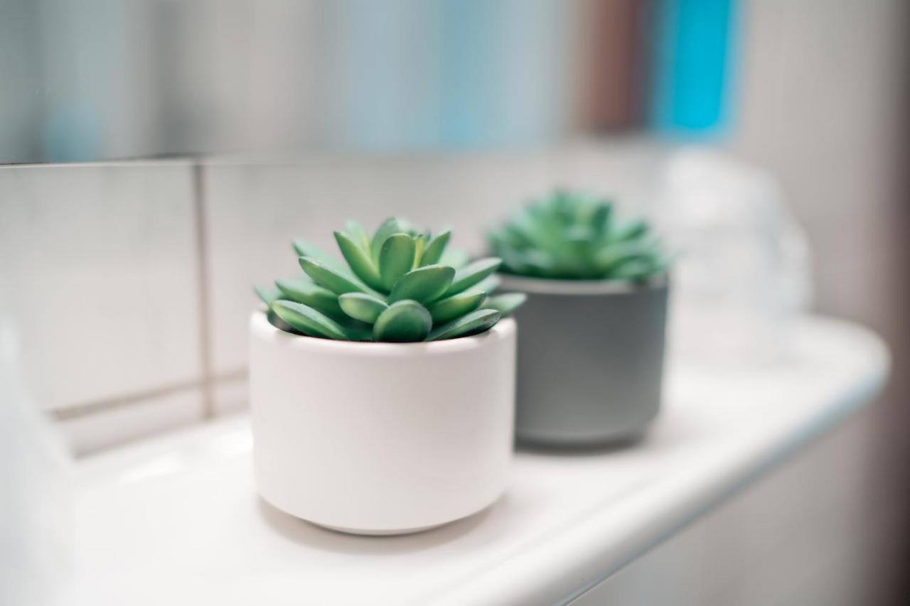 Single Room,1029404635:JPEG