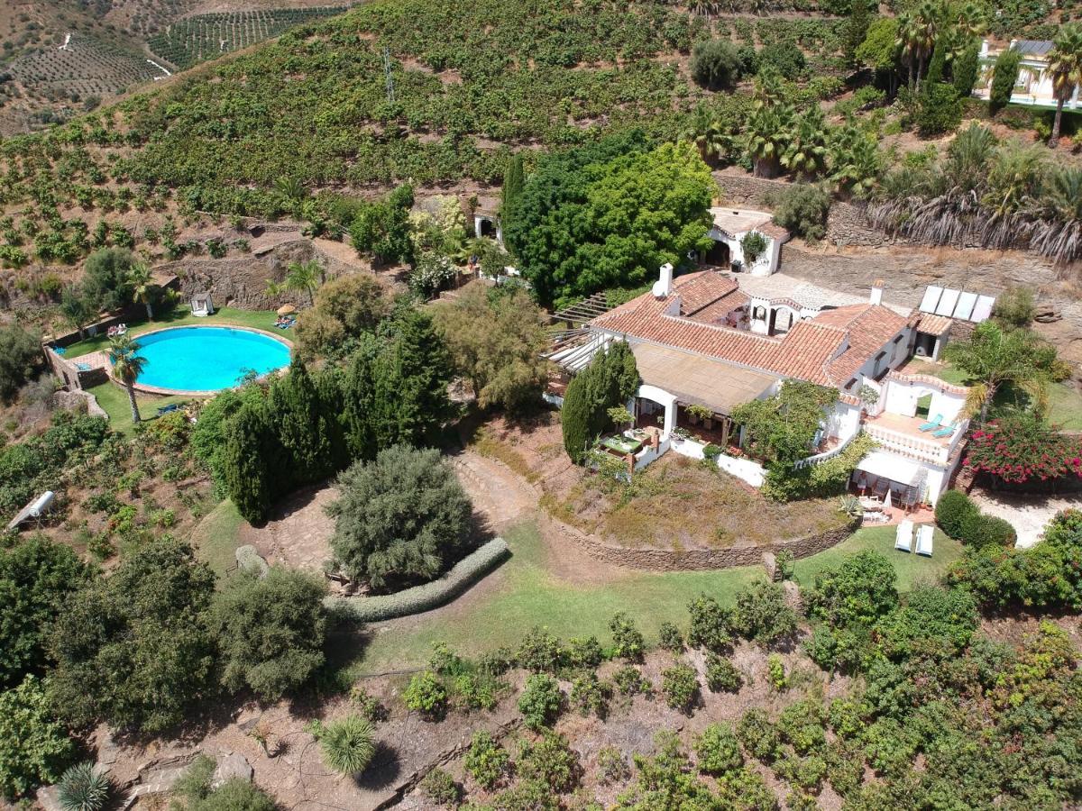 Estudio con vistas a la piscina