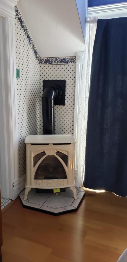 Paris Not Pet Friendly