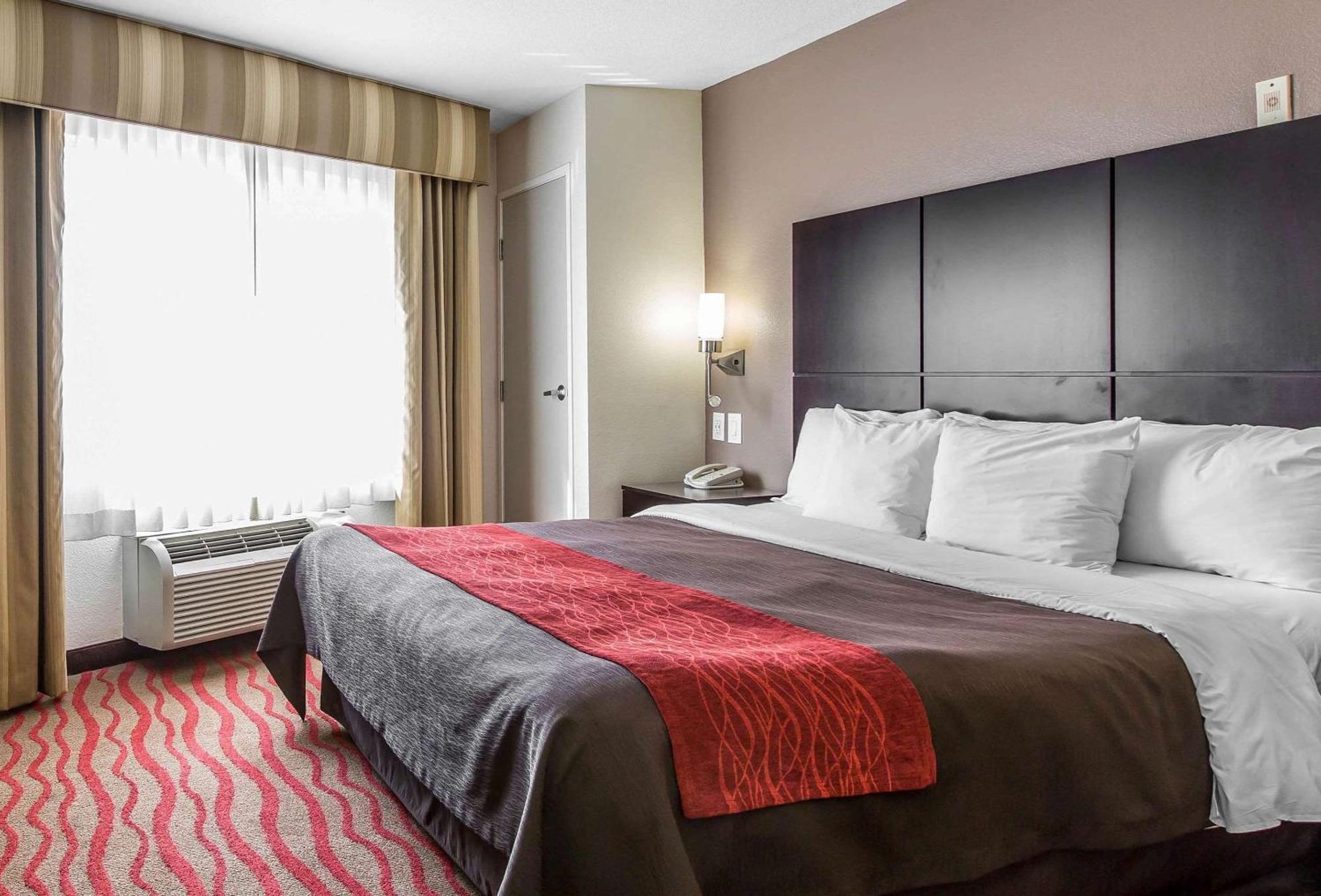 Standard King Room with Roll-in Shower - Accessible/Non-Smoking,1276144153:JPEG