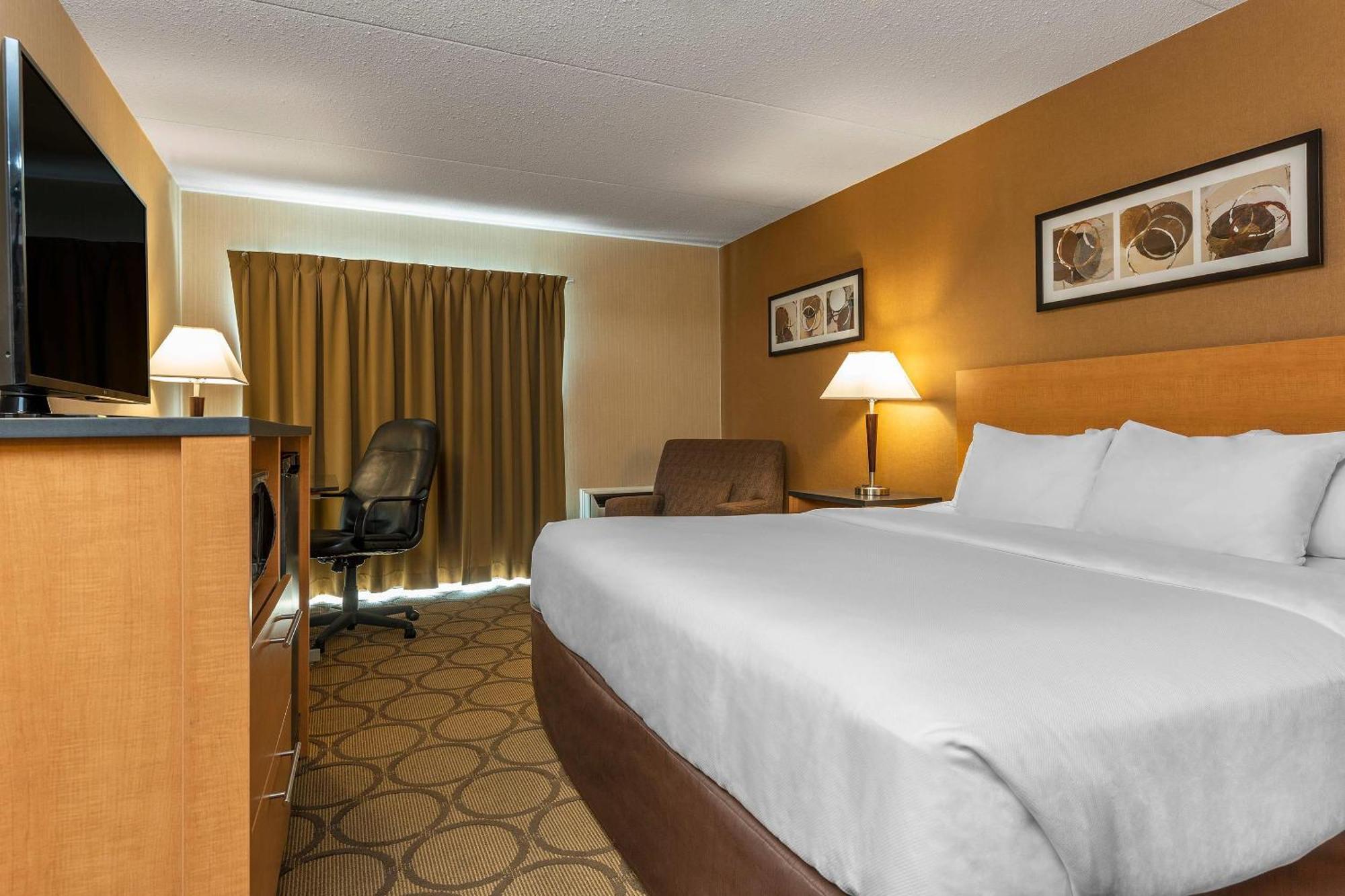 Standard King Room