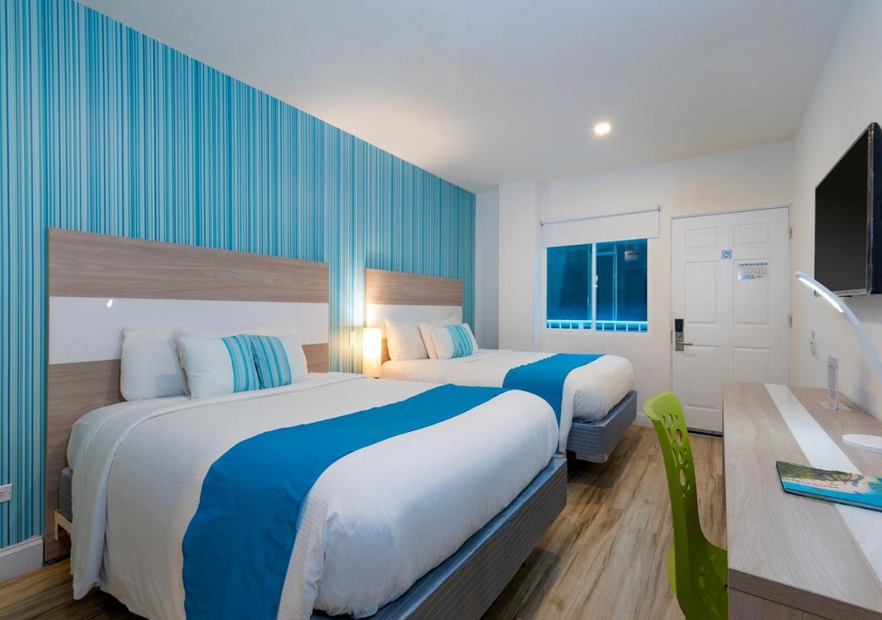 Standard Double Room,1293516517:JPEG
