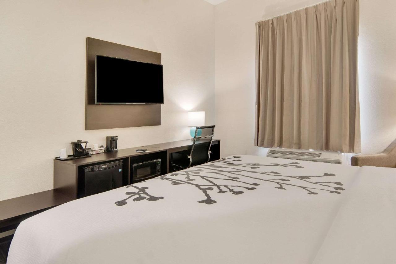King Room - Non Smoking,1294550350:JPEG