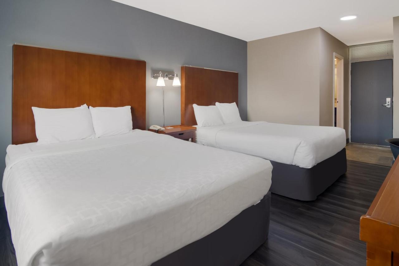 Queen Room Two Queen Beds Non-Smoking