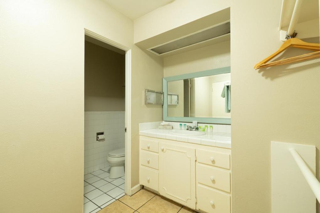 Studio Two Queens Pet Friendly