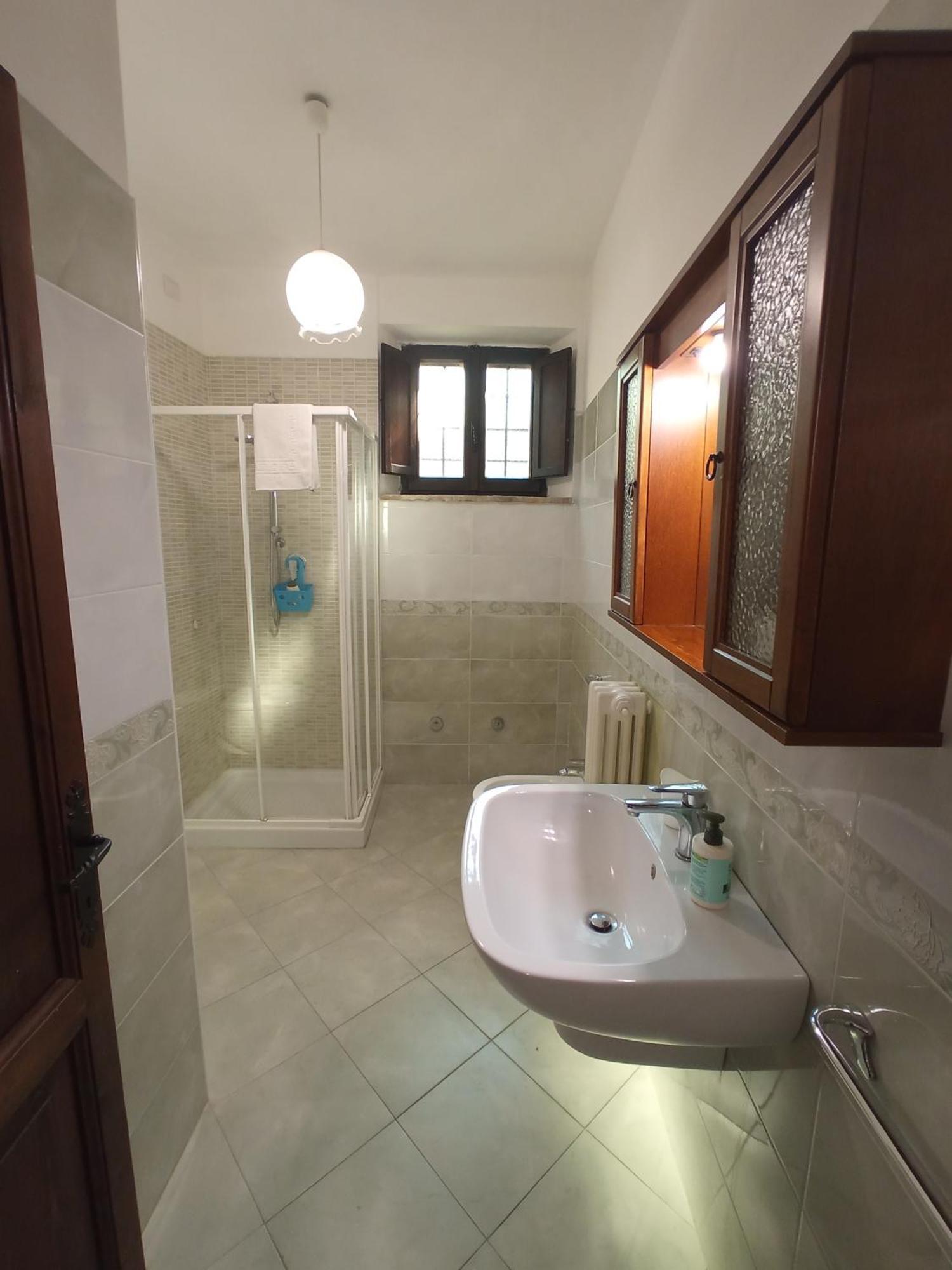 Deluxe Double Room Shower
