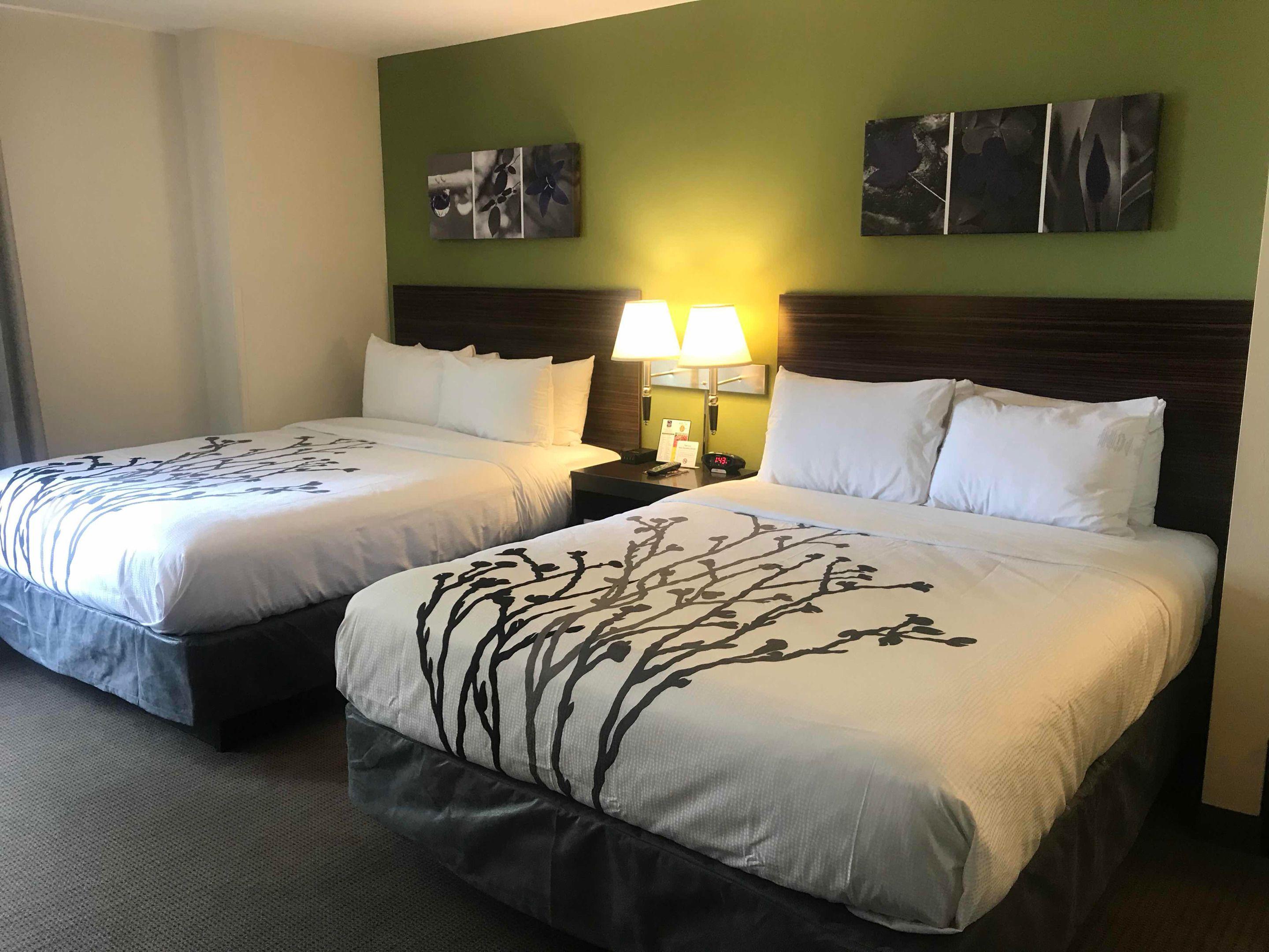 Queen Room Two Queen Beds Non-Smoking