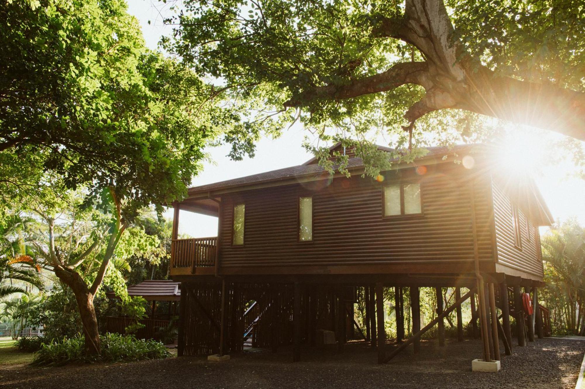 Three-Bedroom Log Cabin Splash Pool