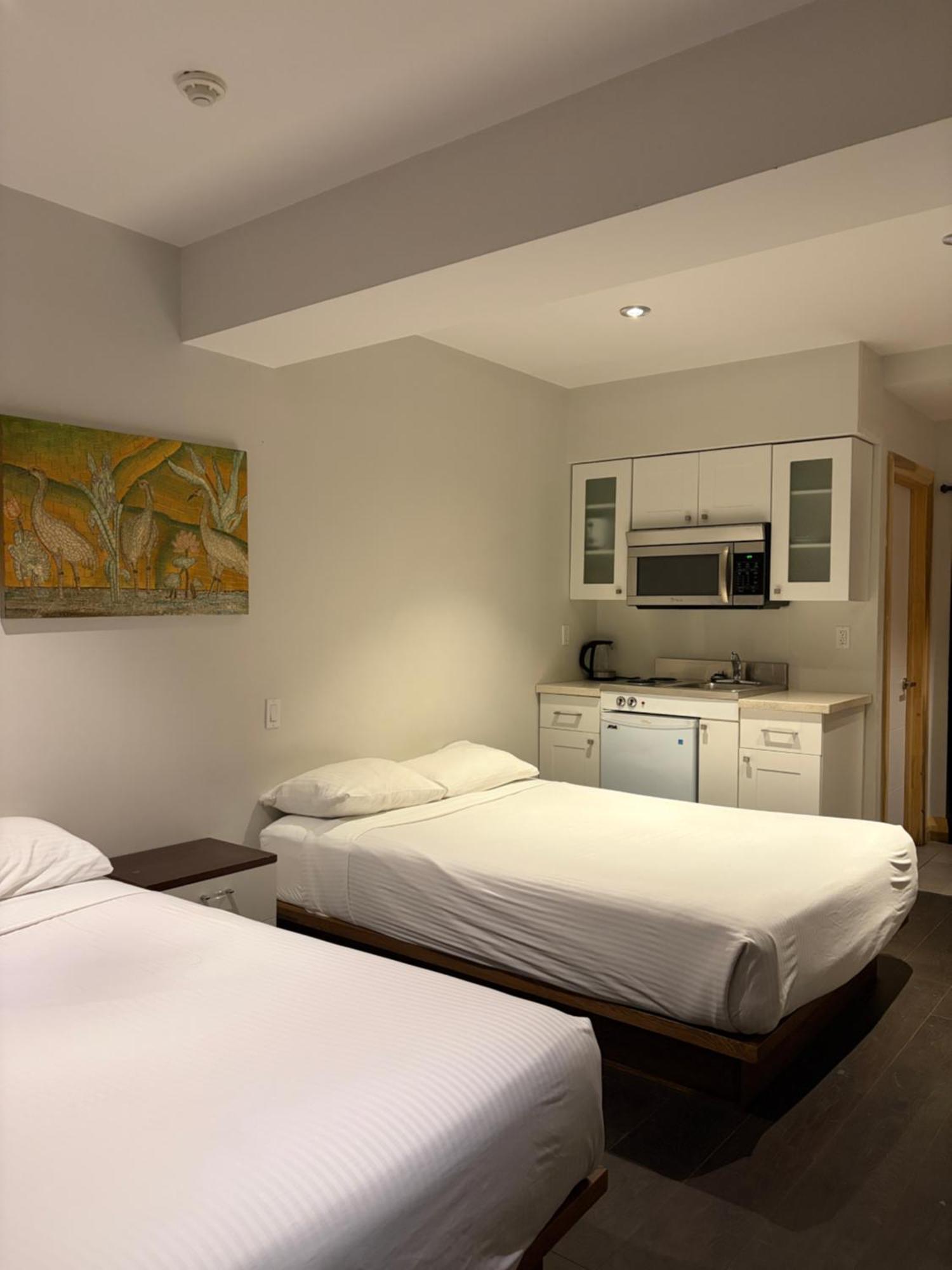 Superior Studio 2 Bed