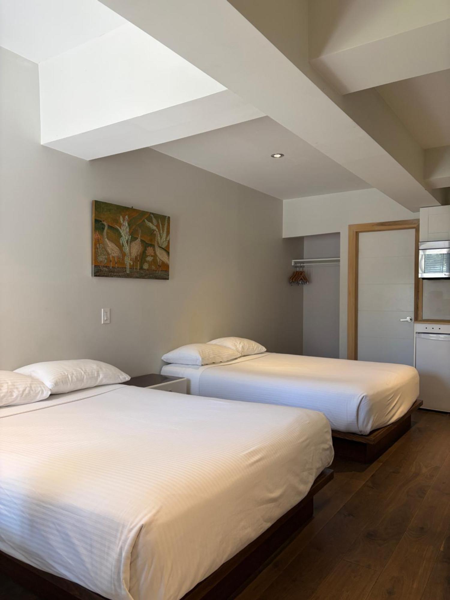 Superior Studio 2 Bed