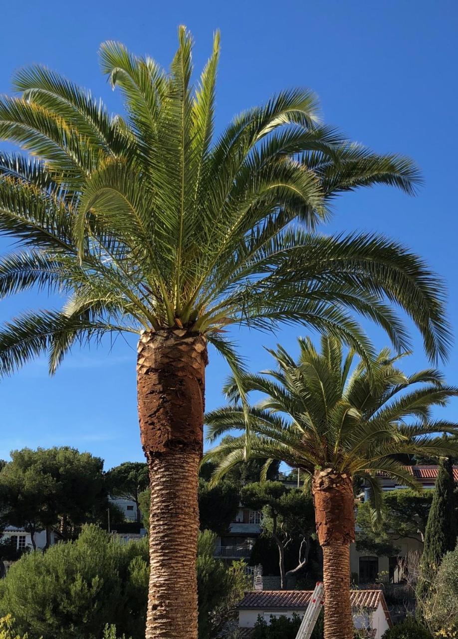 Suite - Vue sur Mer