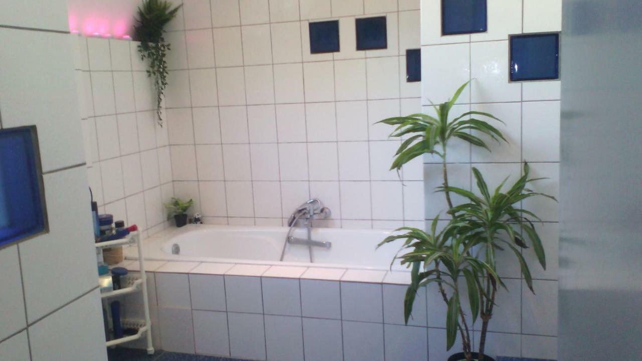 Single Room Shared Shower Toilet