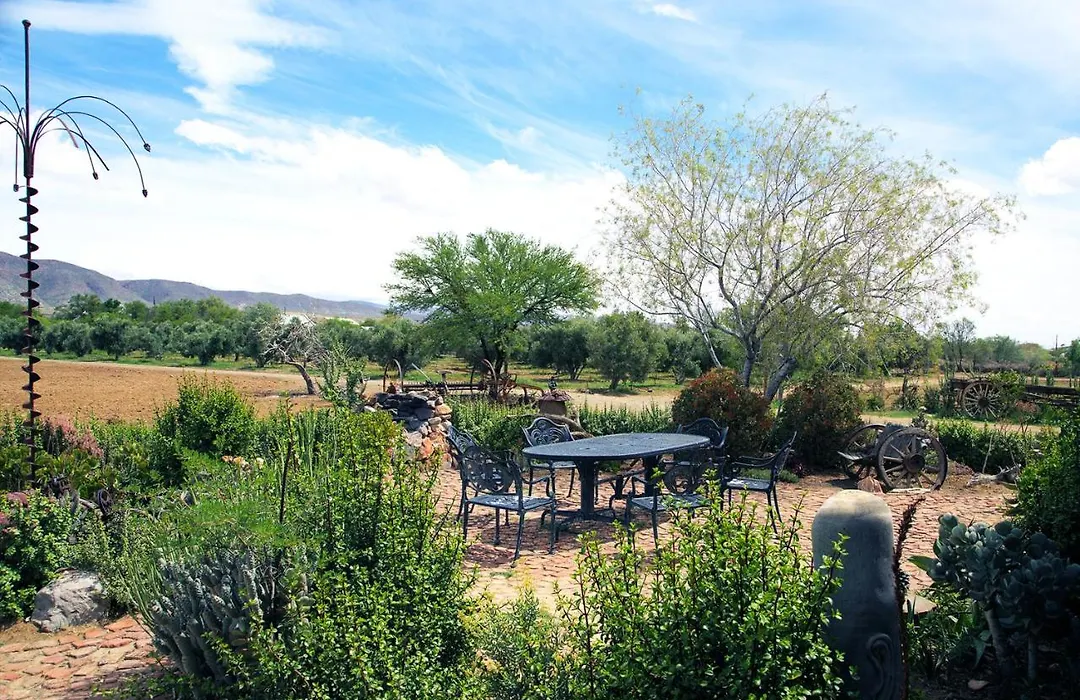 Aloe Guest House-1