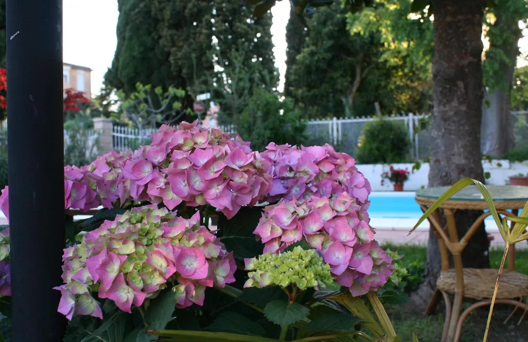B&B Desenzano-1