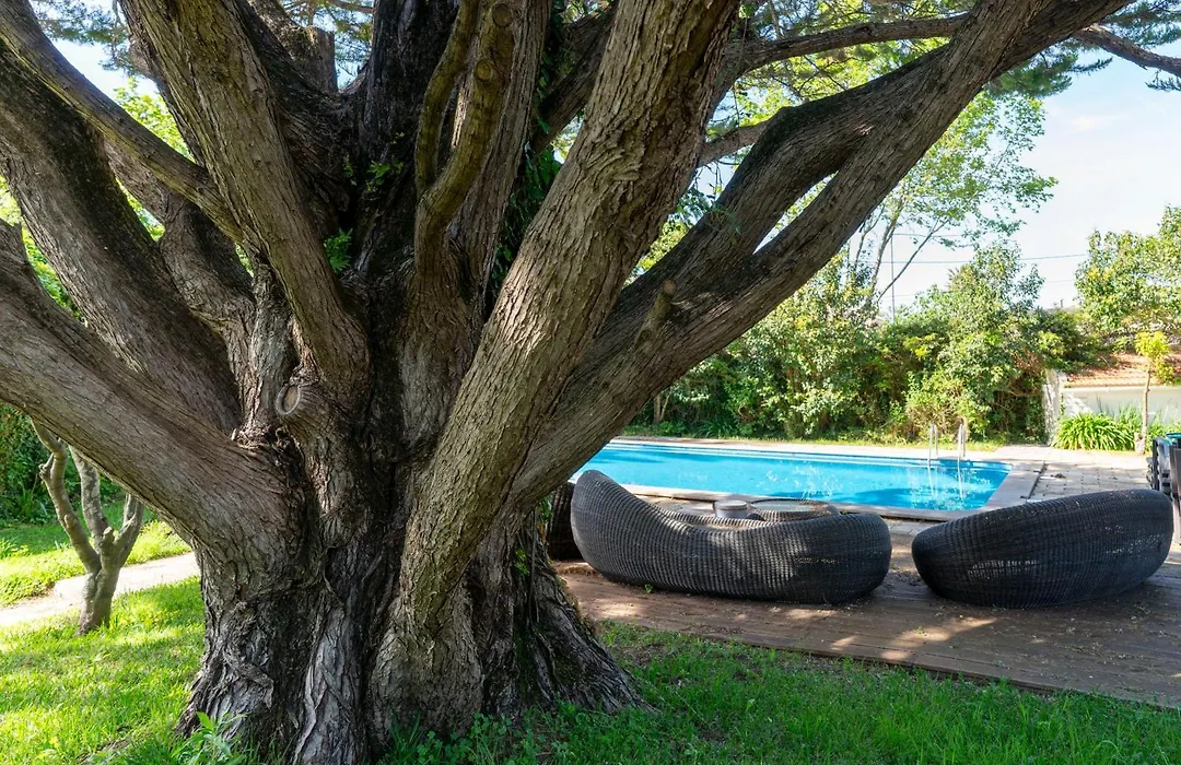 Villa Das Rosas-1