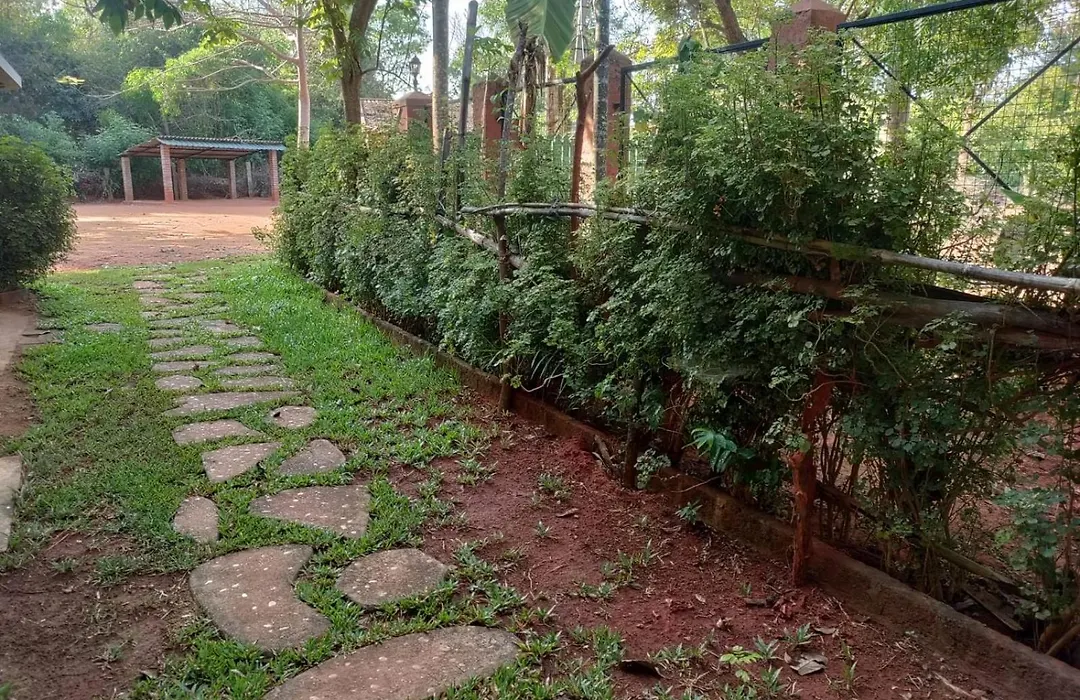 Inn Pondiville Forest Retreat-1