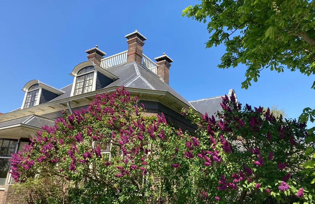 Villa335 Boutique B&B-1