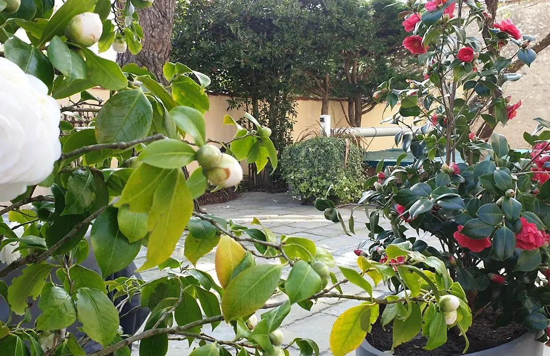 Chambres D'Hotes Le Clos Bleu-1