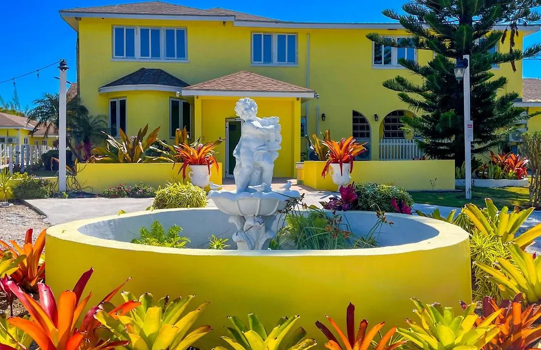 Golden Palms House-1