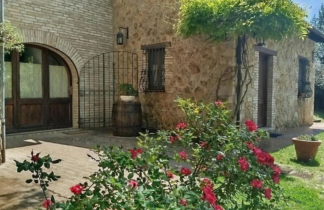 All'Ombra Di San Damiano-1