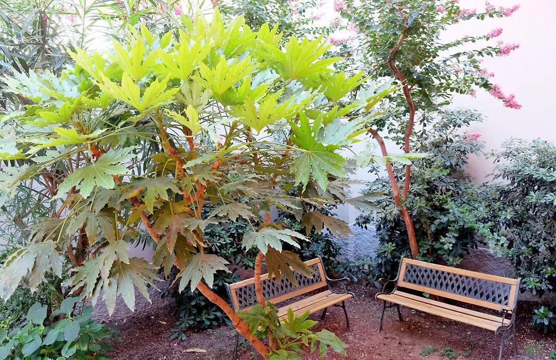 Hostmate - Milano - Vespri Siciliani-1
