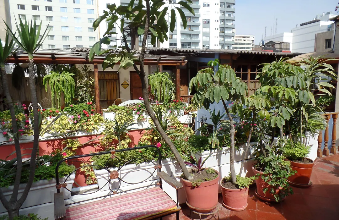 El Patio Miraflores-1
