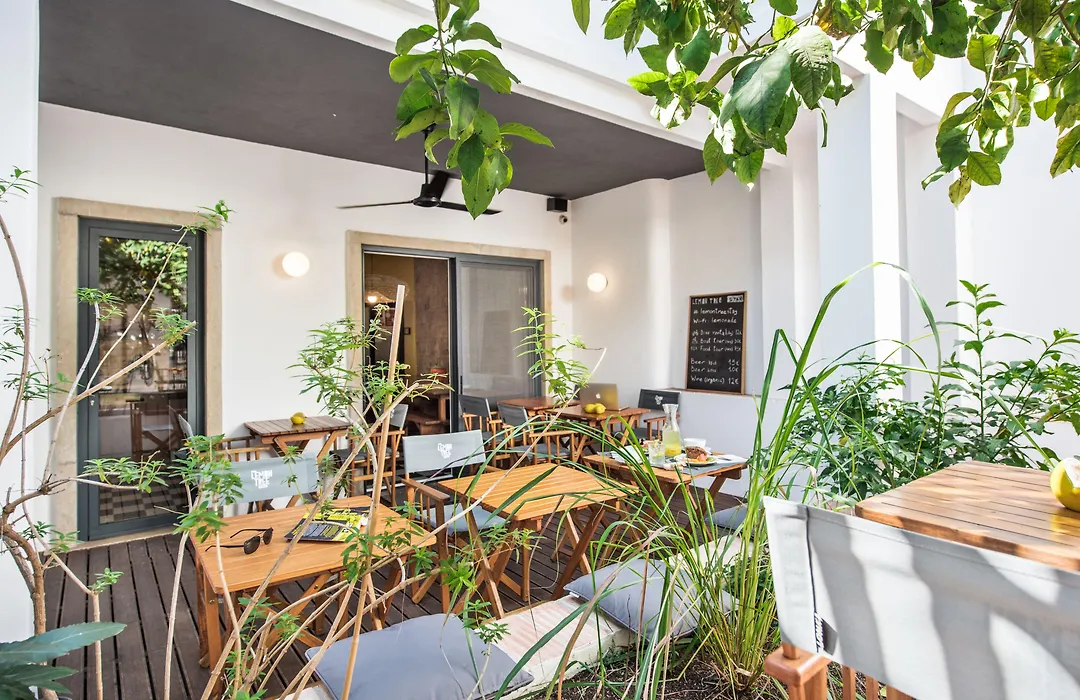 Lemon Tree Stay-1