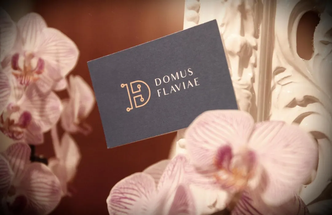 Domus Flaviae-1