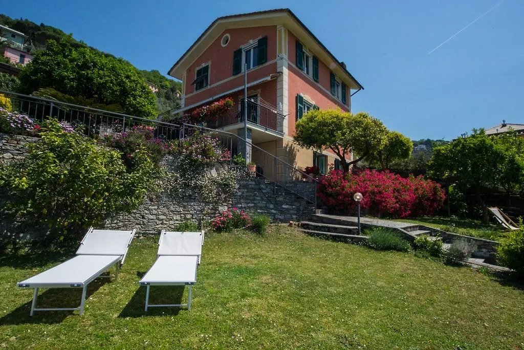 Le Clementine B&B-1
