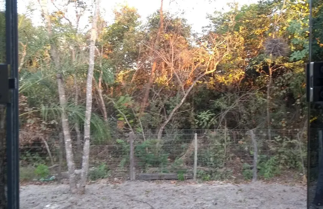 Chácara Pousada Sagui-1