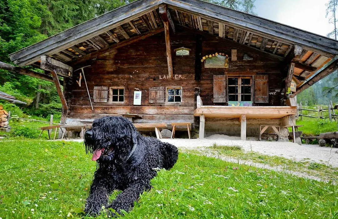 Pension Greti-1