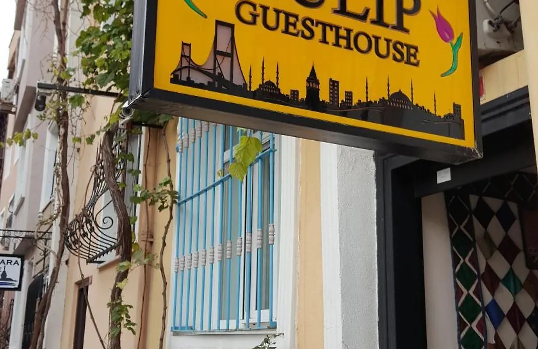 Tulip Guesthouse-1
