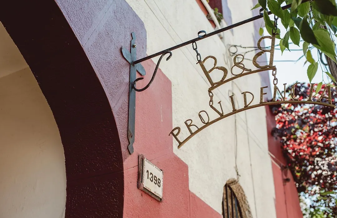Providencia Bed & Breakfast-1