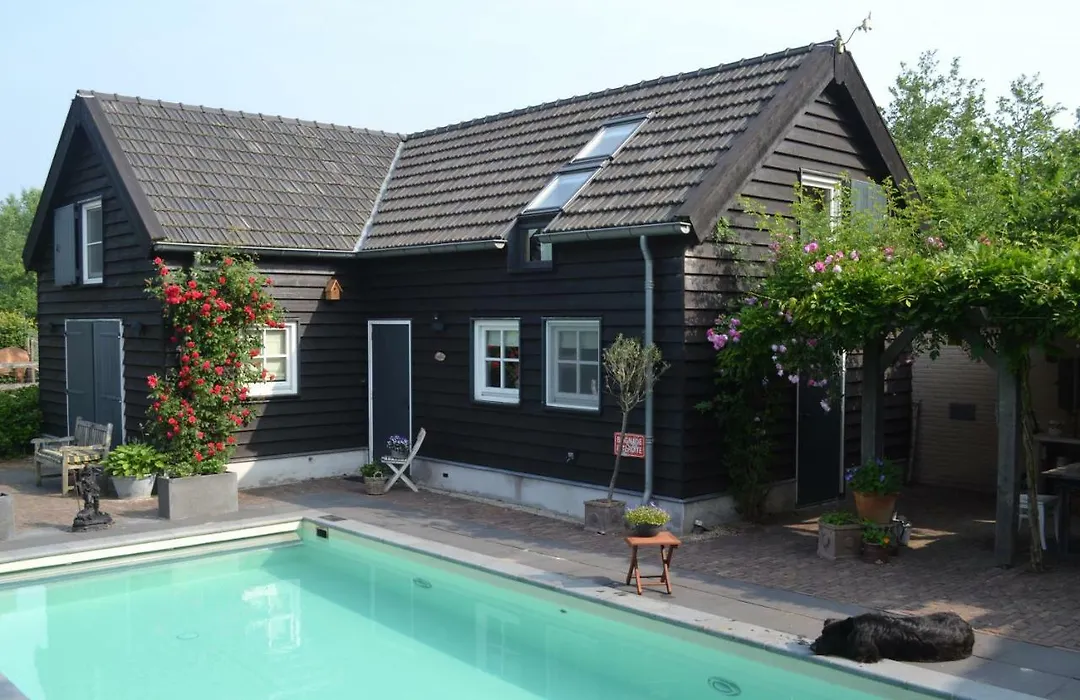 Het Steenuiltje-1