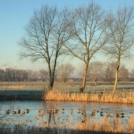 Logies De Meerkoet-2