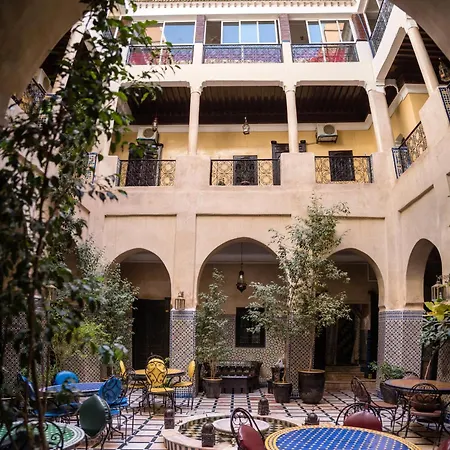 Riad Omar-3