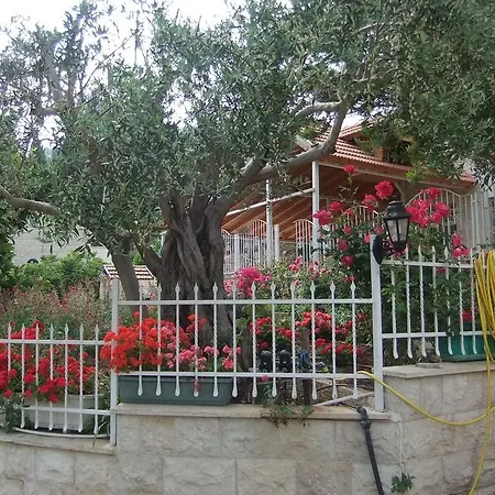 Rosary Sister Guest House Ein Karem-3