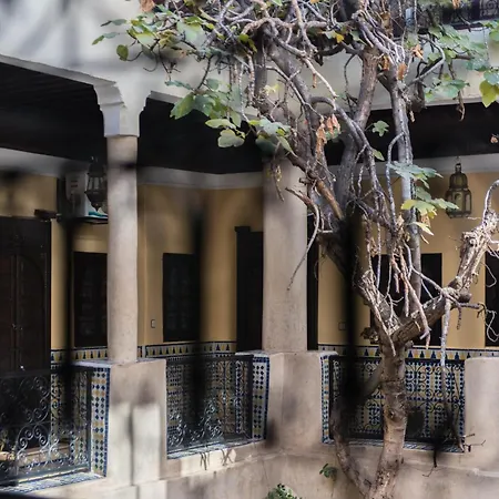 Riad Omar-2