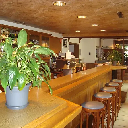 Hotel-Restaurant Handelshof-2