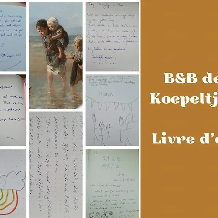 B&B de Koepeltjes-3