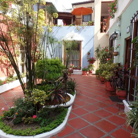 El Patio Miraflores-2