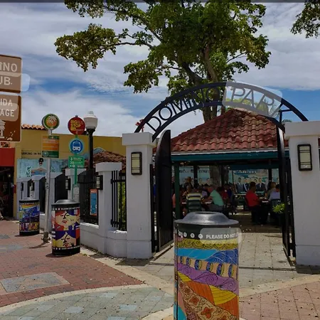 Blue Little Havana-2