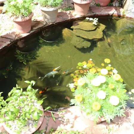 Eco Pousada Jardim do Eden-2