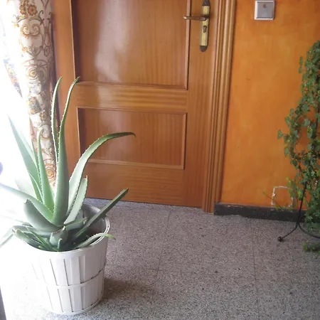 Hostal El Pinar-2
