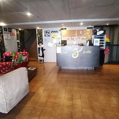 Pousada Casa dos Gattos - Próx ao Aeroporto Guarulhos-2