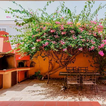 B&B Il Piccolo Giardino-2