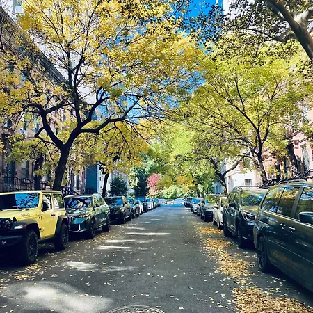 Harlem Grand-3