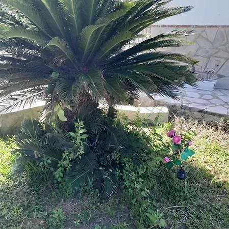 La Rana Azul-3