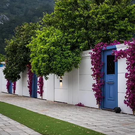 Collesium Garden-2