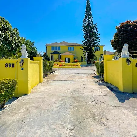 Golden Palms House-3